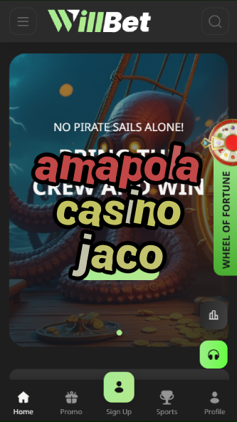 amapola casino jaco-bandasonoracasino.asdasdzhjkds.com