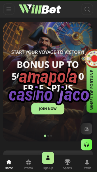 amapola casino jaco-bandasonoracasino.asdasdzhjkds.com